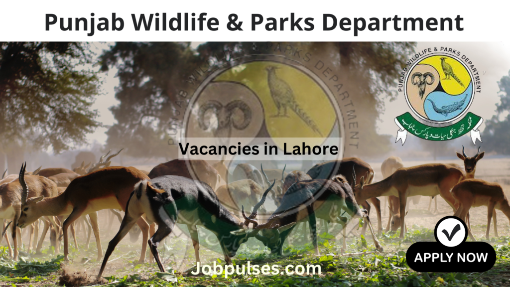 Vacancies in Lahore